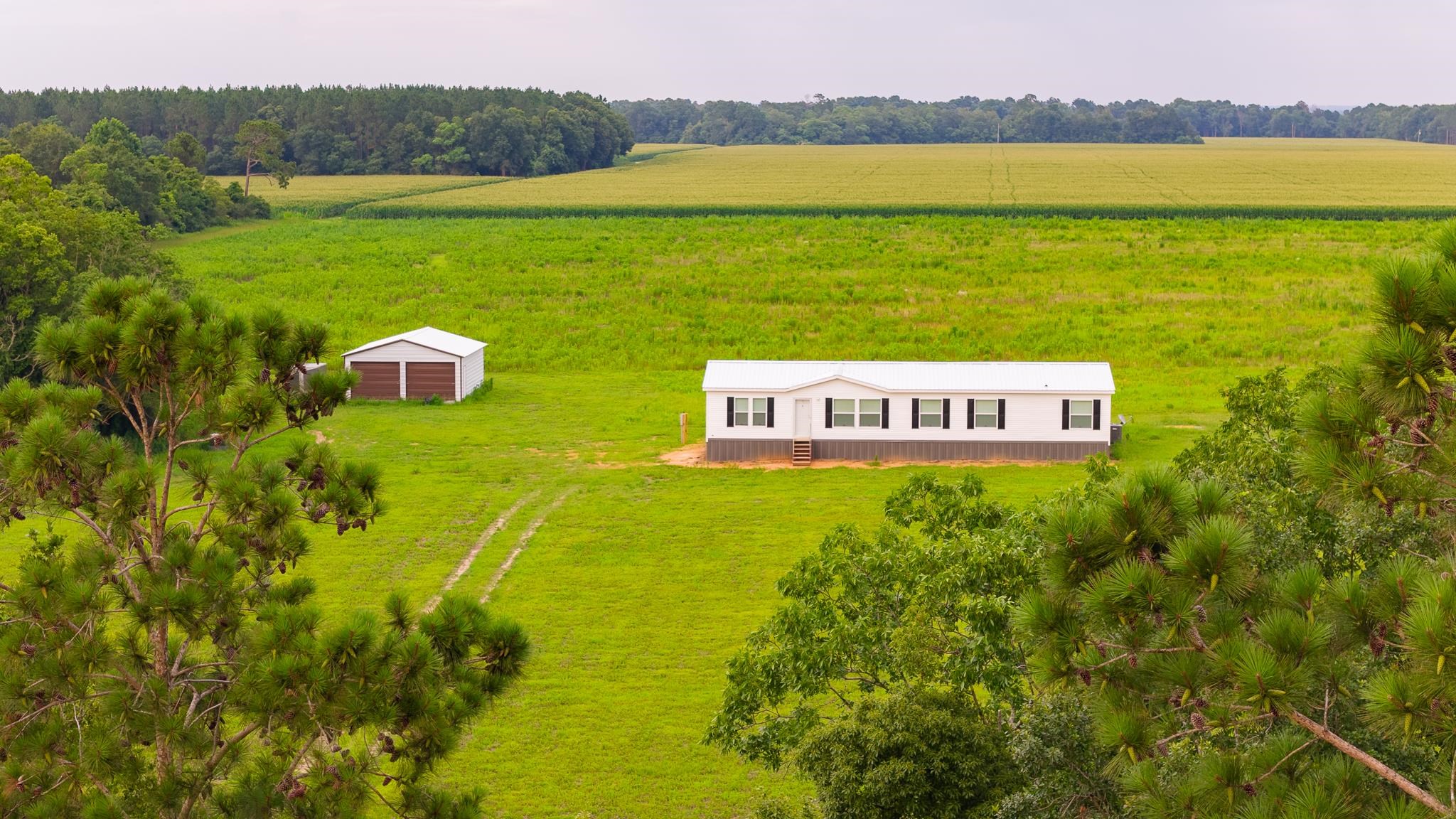 17724 Hansel Hodges Road Elberta, AL 36530 - Photo 4 of 24