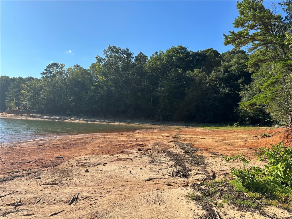 266 Brandywine Drive Westminster, SC 29693 - Photo 29 of 33