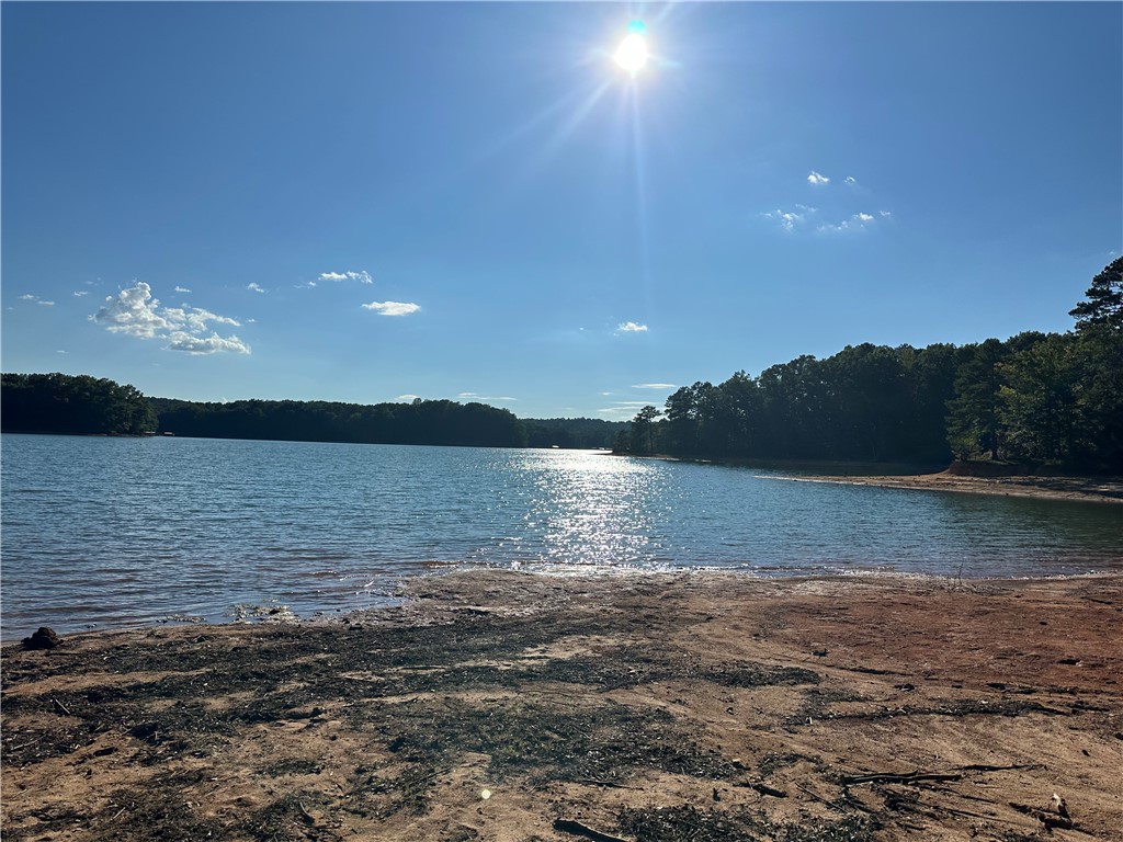 266 Brandywine Drive Westminster, SC 29693 - Photo 30 of 33