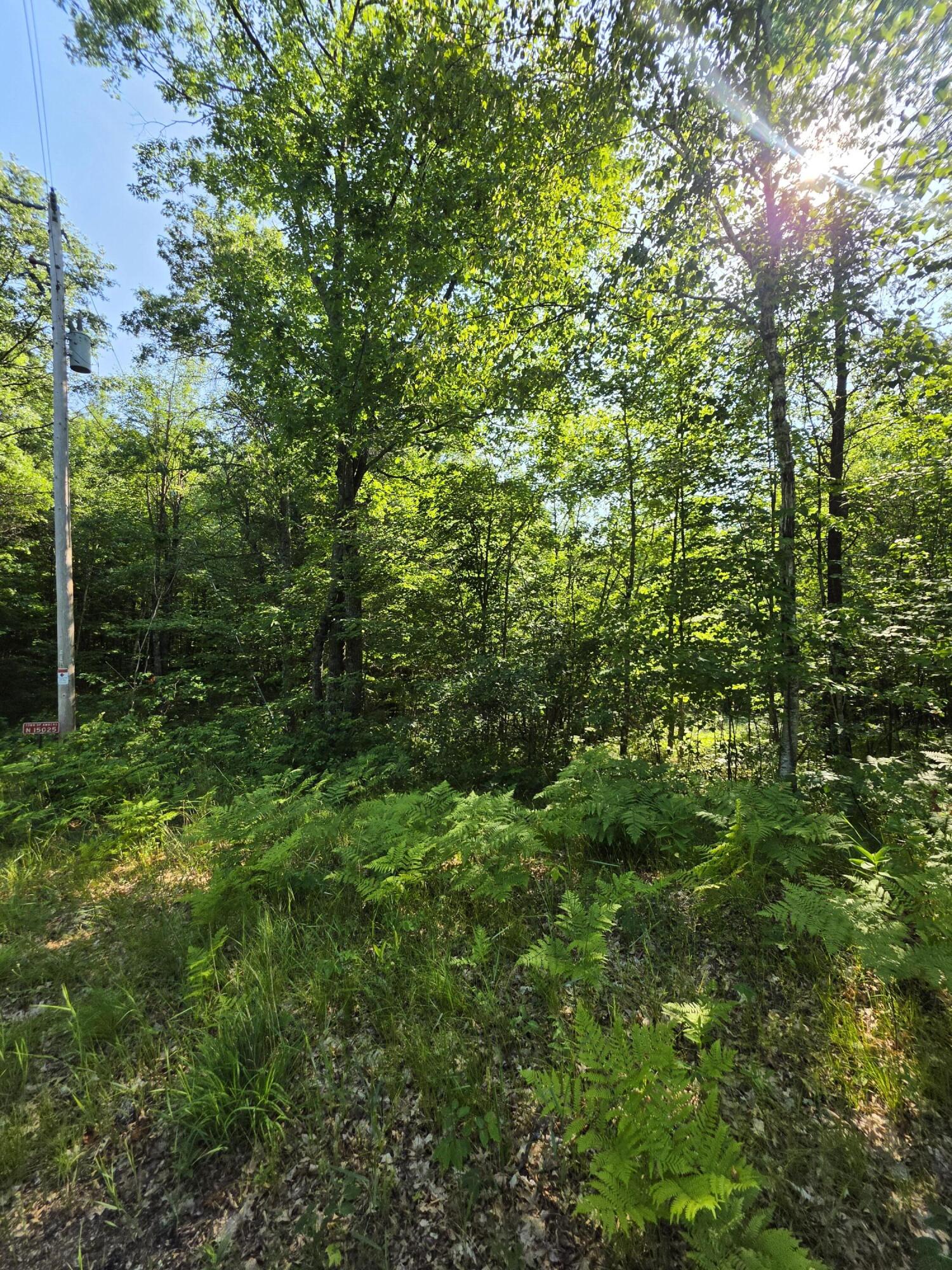 1.55-acres Oak Ridge Road Amberg, WI 54102 - Photo 5 of 6 095a0305-3de2-49c4-8e6b-56ba677fc181-1_a