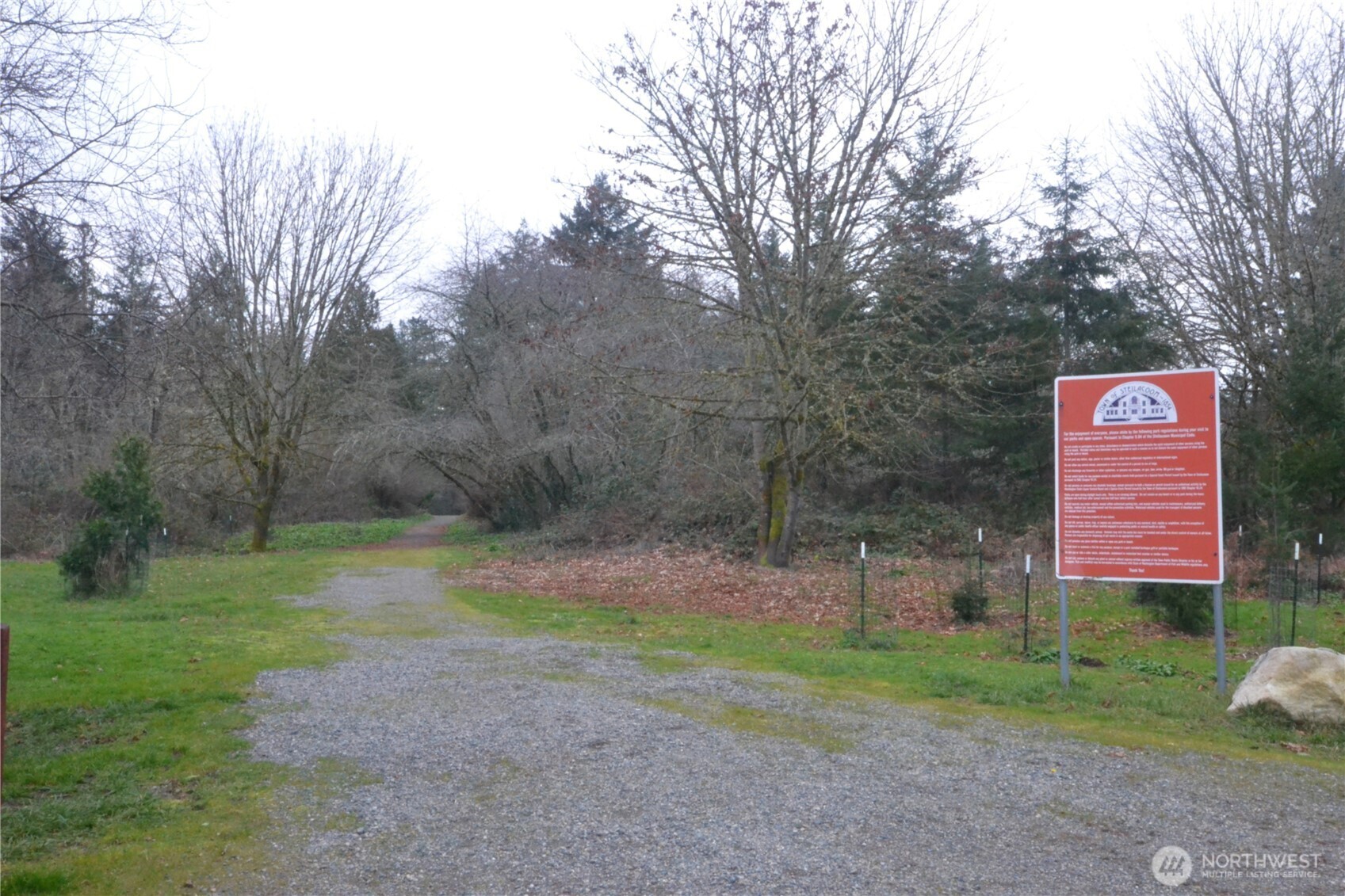 1410 Beech Avenue Steilacoom, WA 98388 - Photo 37 of 38 a backyard of a house with lots of green space