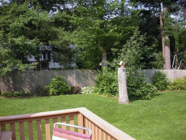 35 Ellington Road Northampton, MA 01062 - Photo 3 of 14