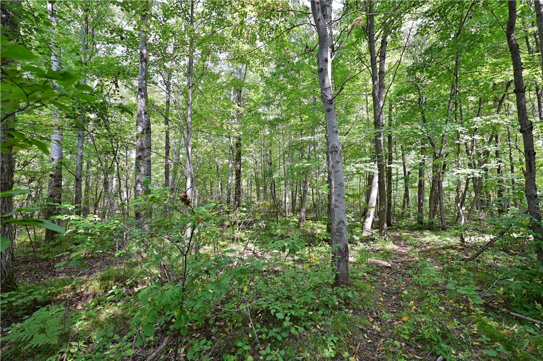 1-2 13 13 1/4 Street Rice Lake, WI 54868 - Photo 5 of 19