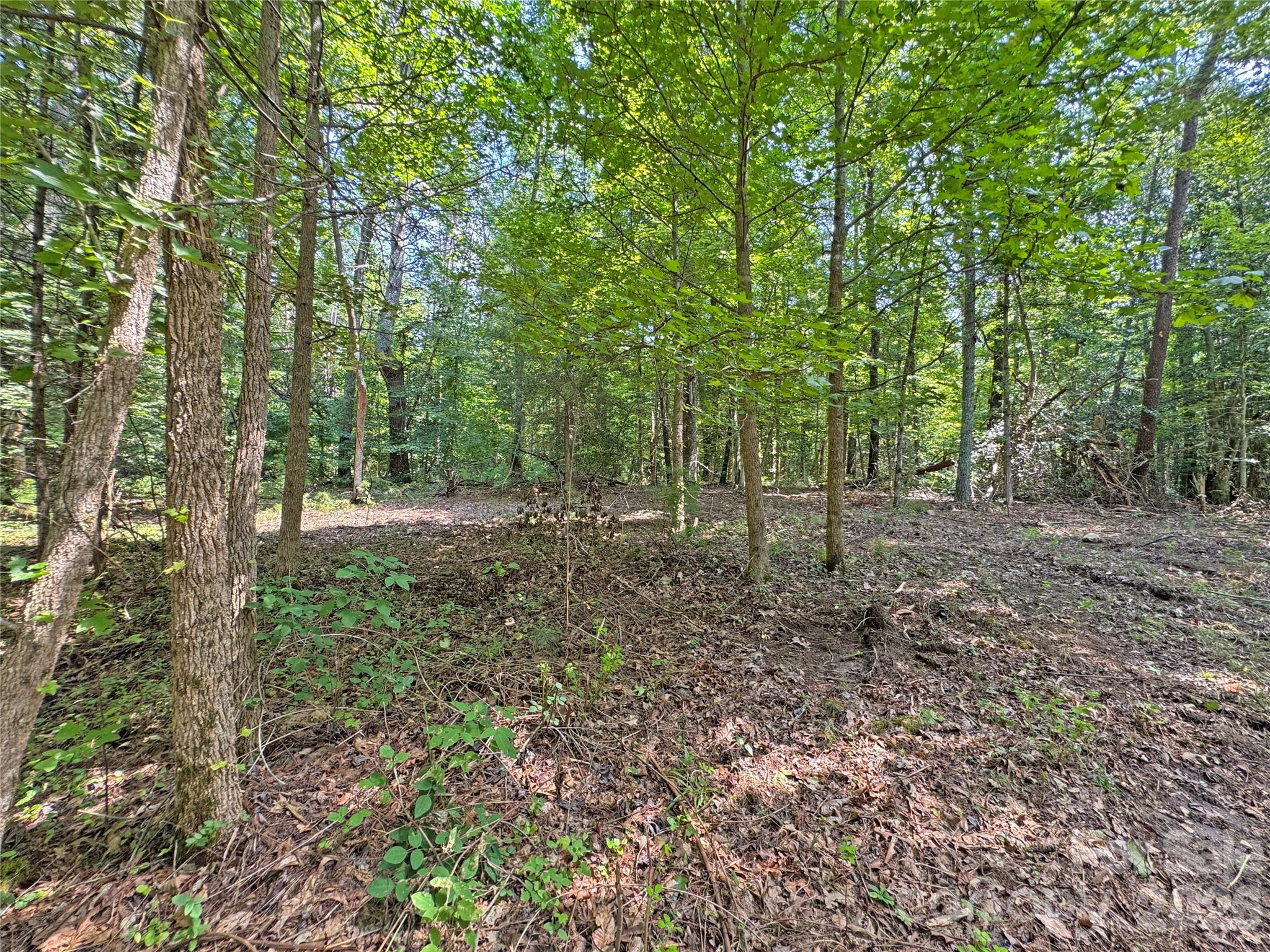 6080 River Road Hot Springs, NC 28743 - Photo 9 of 24 Gallery Image 9