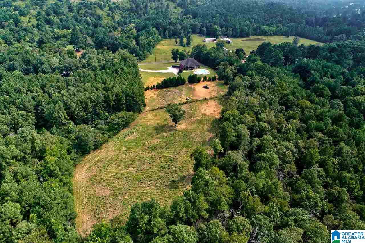 1645 New Bethel School Road Warrior, AL 35180 - Photo 10 of 50