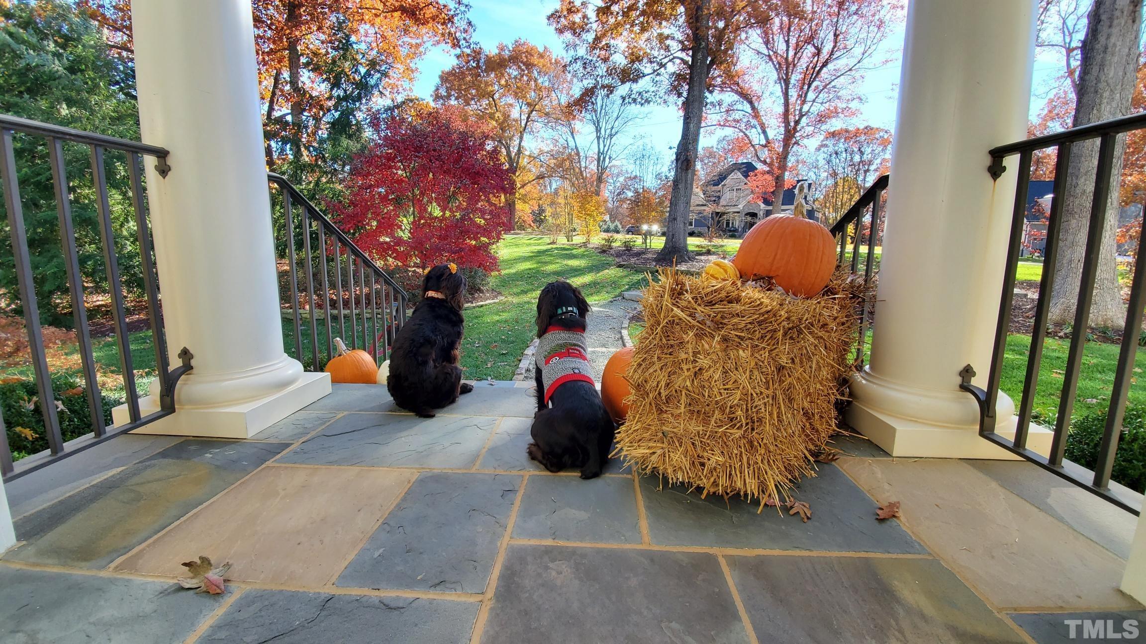 4427 Laurel Hills Road Raleigh, NC 27612 - Photo 8 of 89