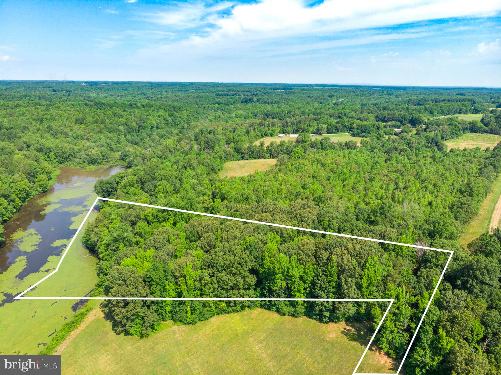 Tbd Lindsay Road, Unit LOT 47 Pamplin, VA 23958 - Photo 8 of 11
