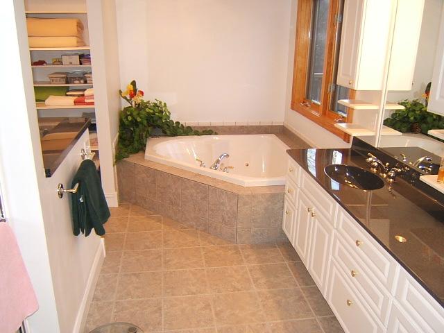 1241 Chester Lane Blue Ridge, VA 24064 - Photo 5 of 7 a bathroom with a bathtub and a sink