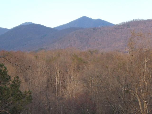 1241 Chester Lane Blue Ridge, VA 24064 - Photo 6 of 7 a view of a house with a mountain in the background