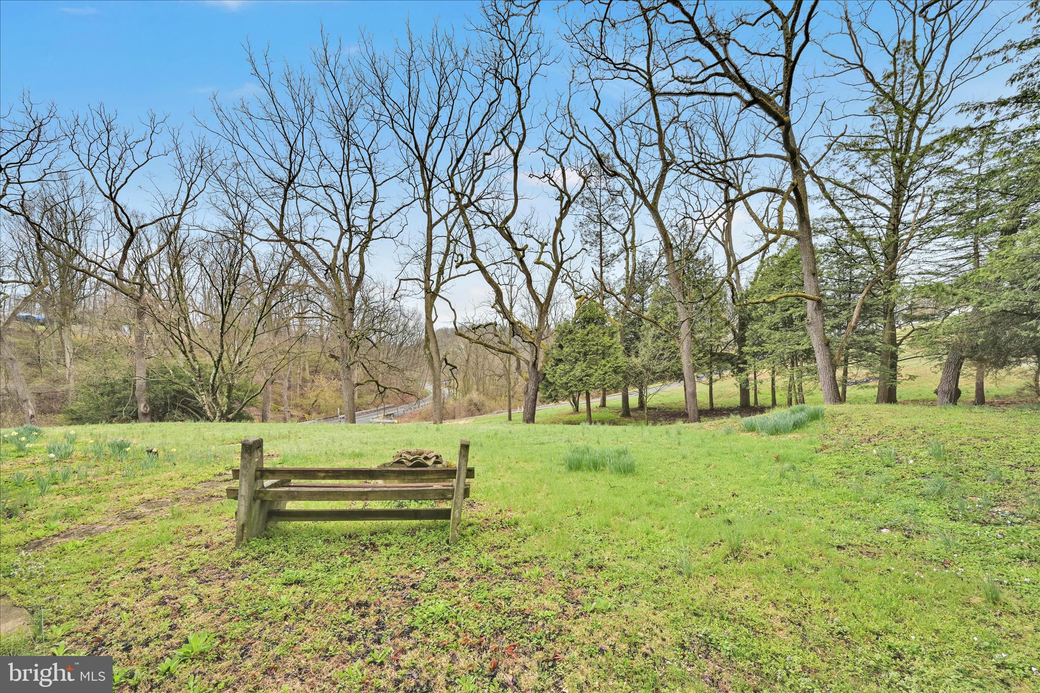 444 North Heidelberg Road Robesonia, PA 19551 - Photo 39 of 59 a view of backyard with green space