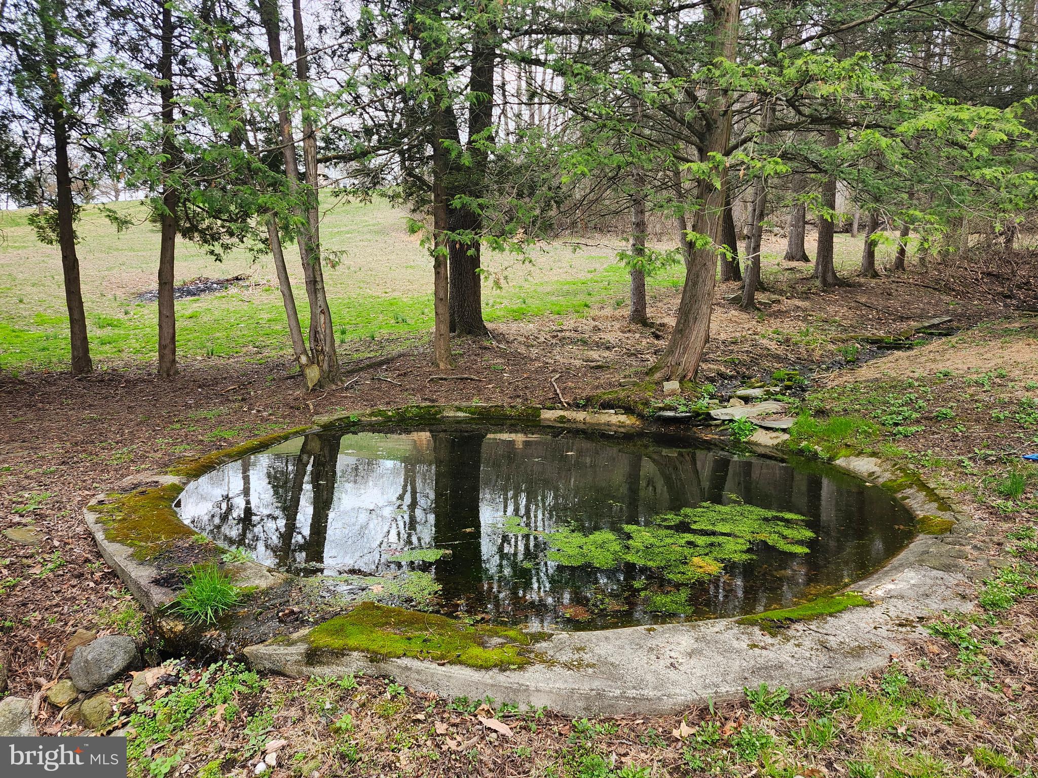444 North Heidelberg Road Robesonia, PA 19551 - Photo 41 of 59 a view of a house with a yard large tree and sitting area
