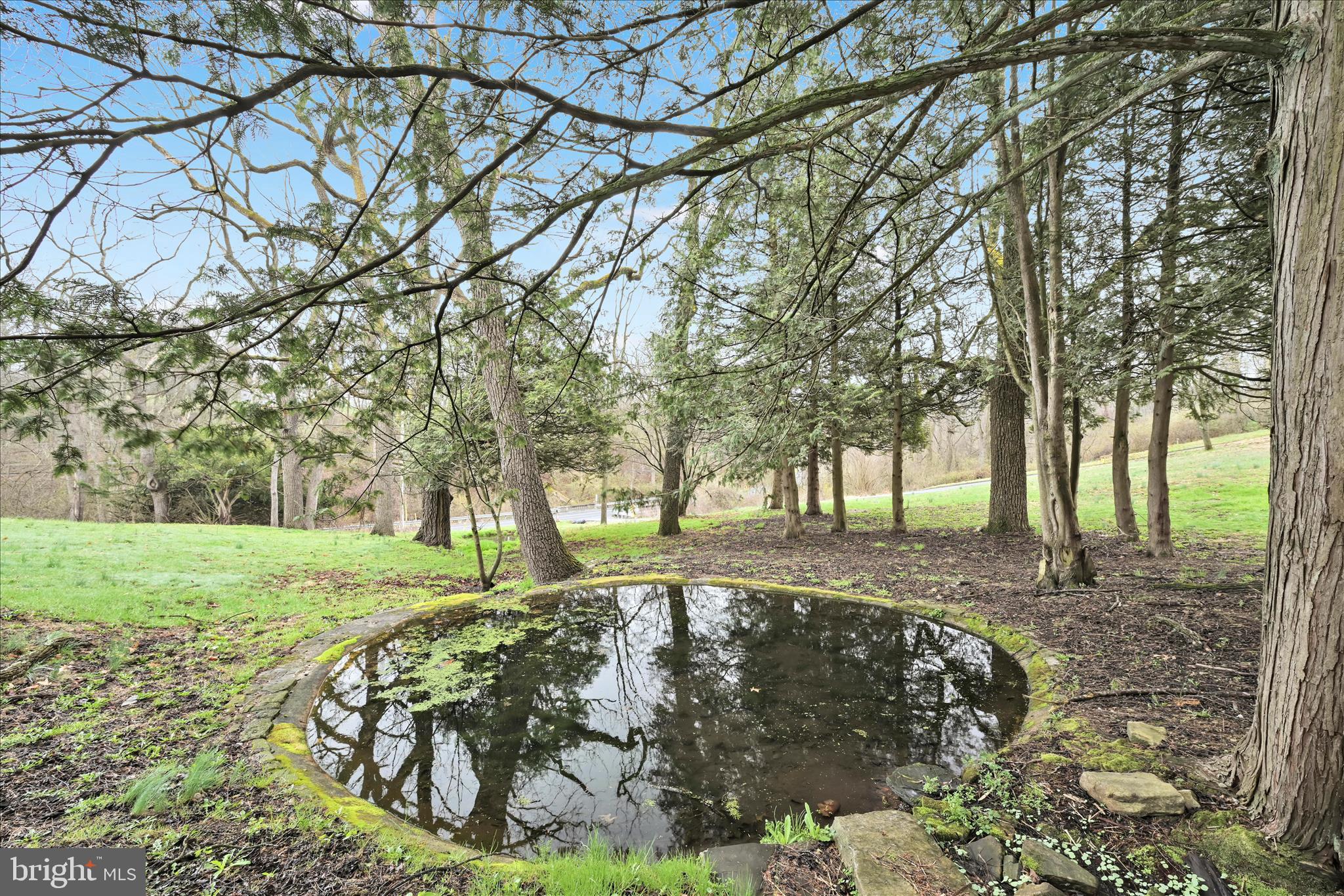 444 North Heidelberg Road Robesonia, PA 19551 - Photo 42 of 59 a view of a yard with trees