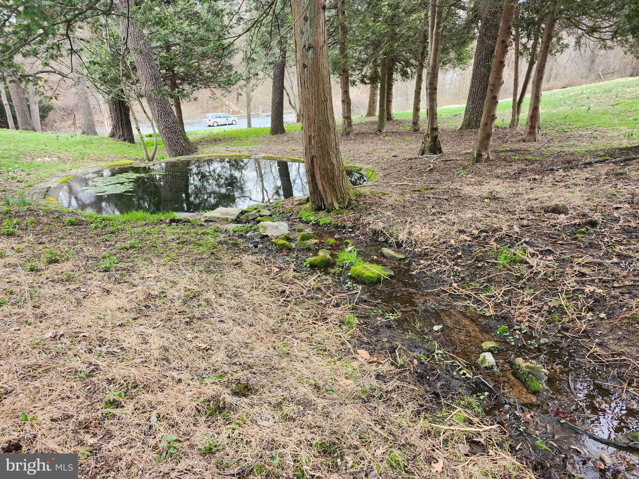 444 North Heidelberg Road Robesonia, PA 19551 - Photo 44 of 59 a view of a yard with plants and trees