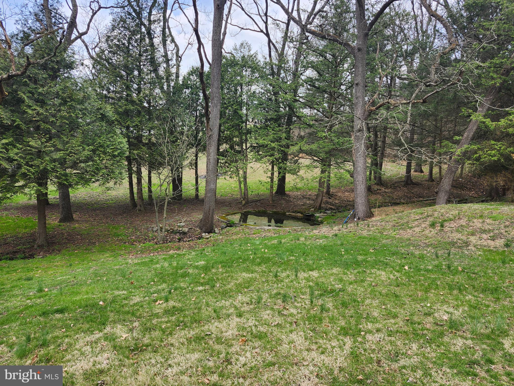 444 North Heidelberg Road Robesonia, PA 19551 - Photo 48 of 59 a backyard of a house with lots of green space