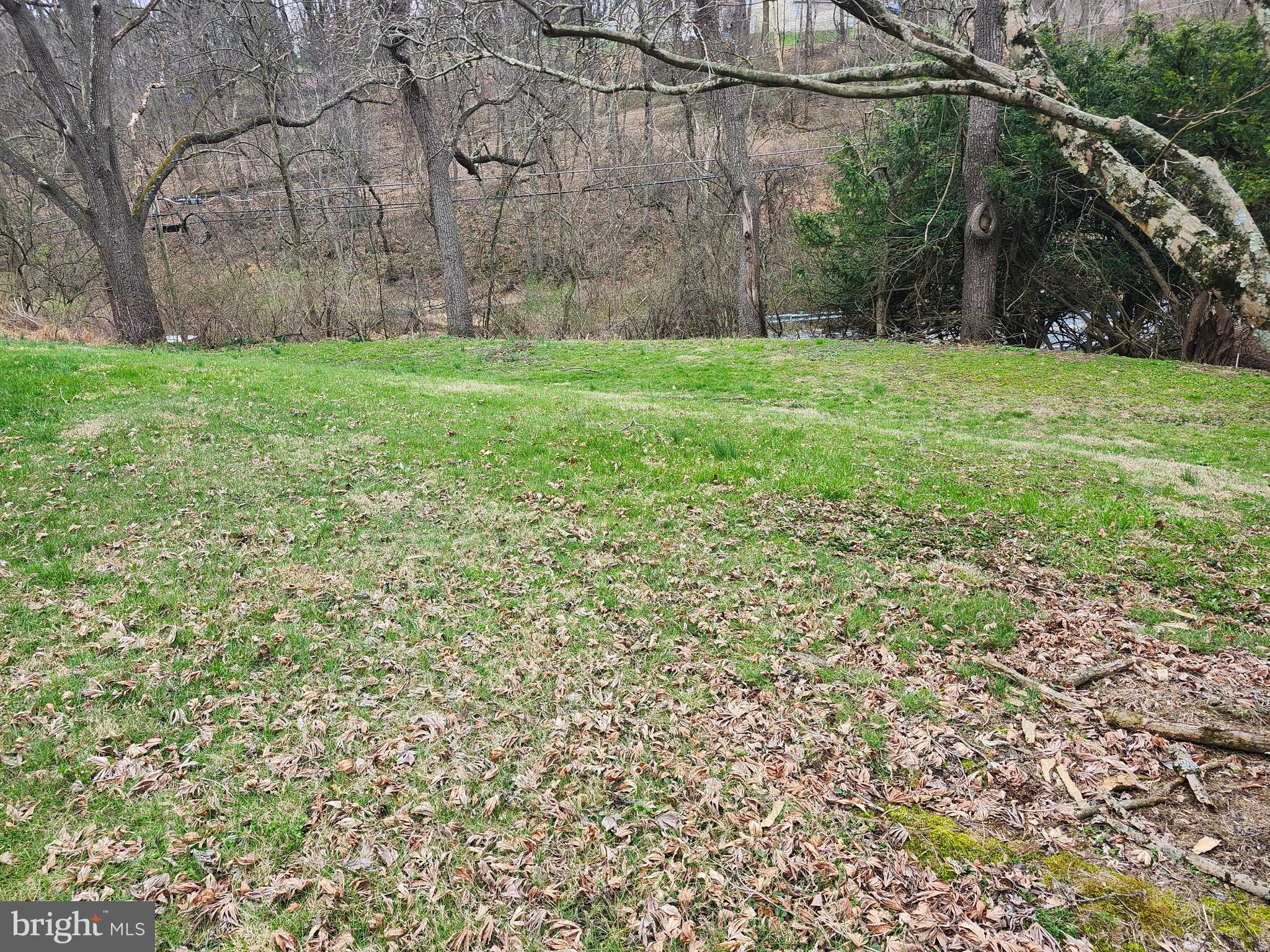 444 North Heidelberg Road Robesonia, PA 19551 - Photo 50 of 59 a view of a yard with a tree