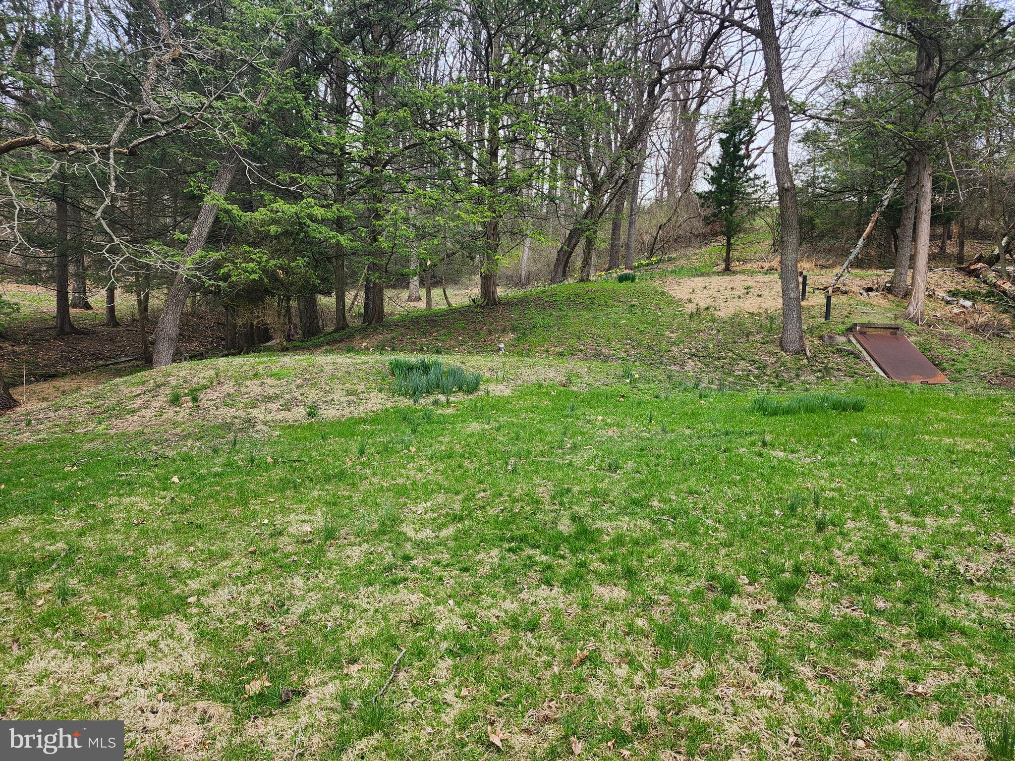 444 North Heidelberg Road Robesonia, PA 19551 - Photo 51 of 59 a view of a tree in a yard