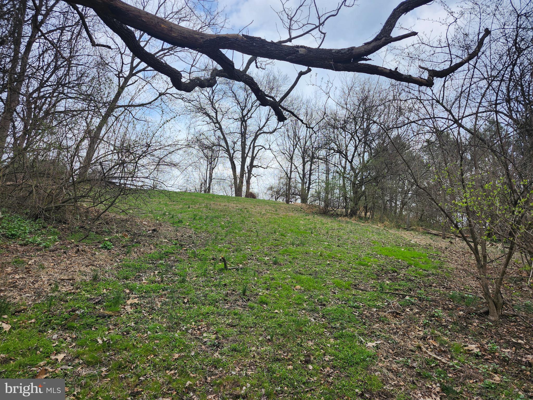 444 North Heidelberg Road Robesonia, PA 19551 - Photo 54 of 59