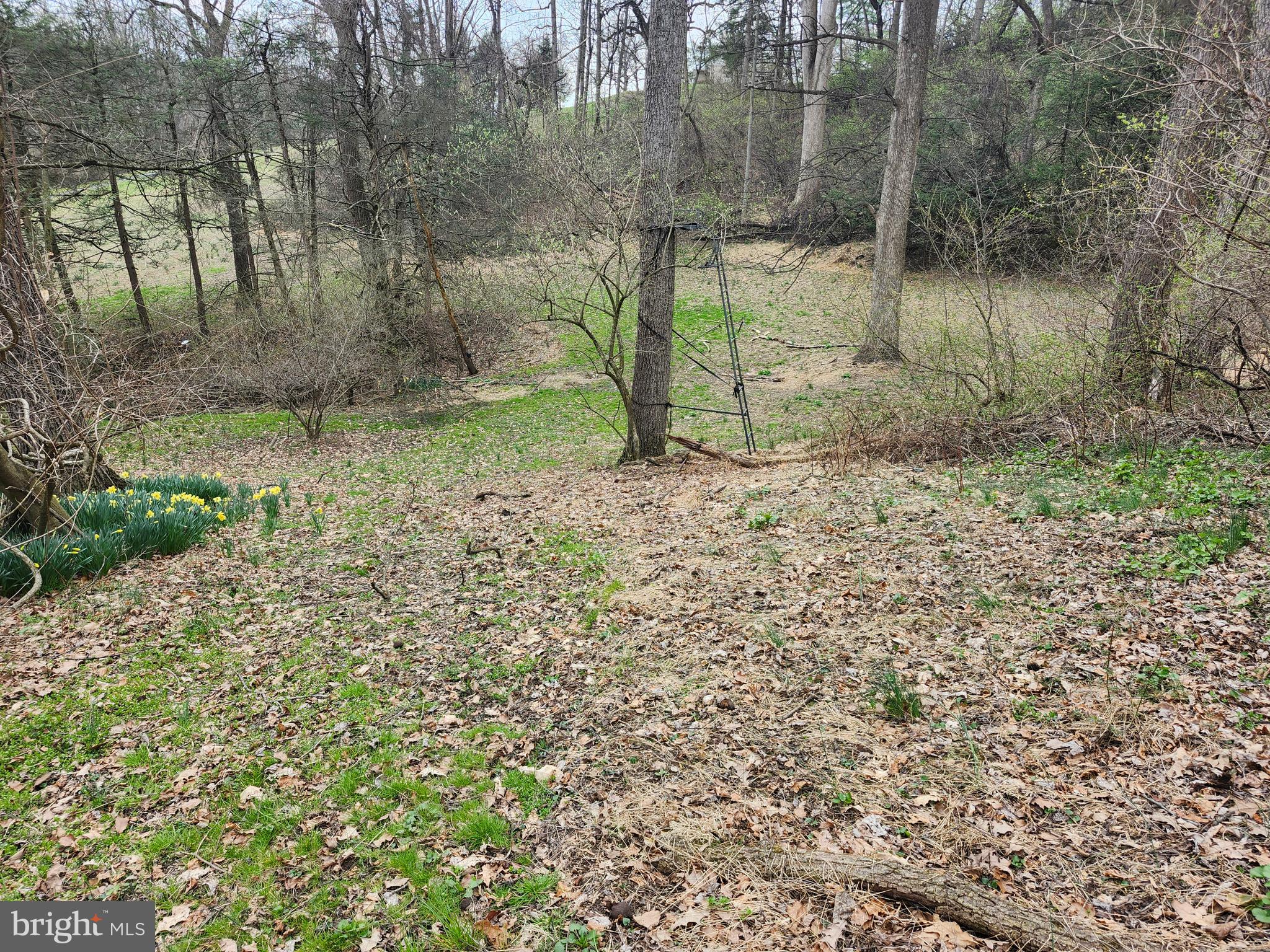 444 North Heidelberg Road Robesonia, PA 19551 - Photo 55 of 59