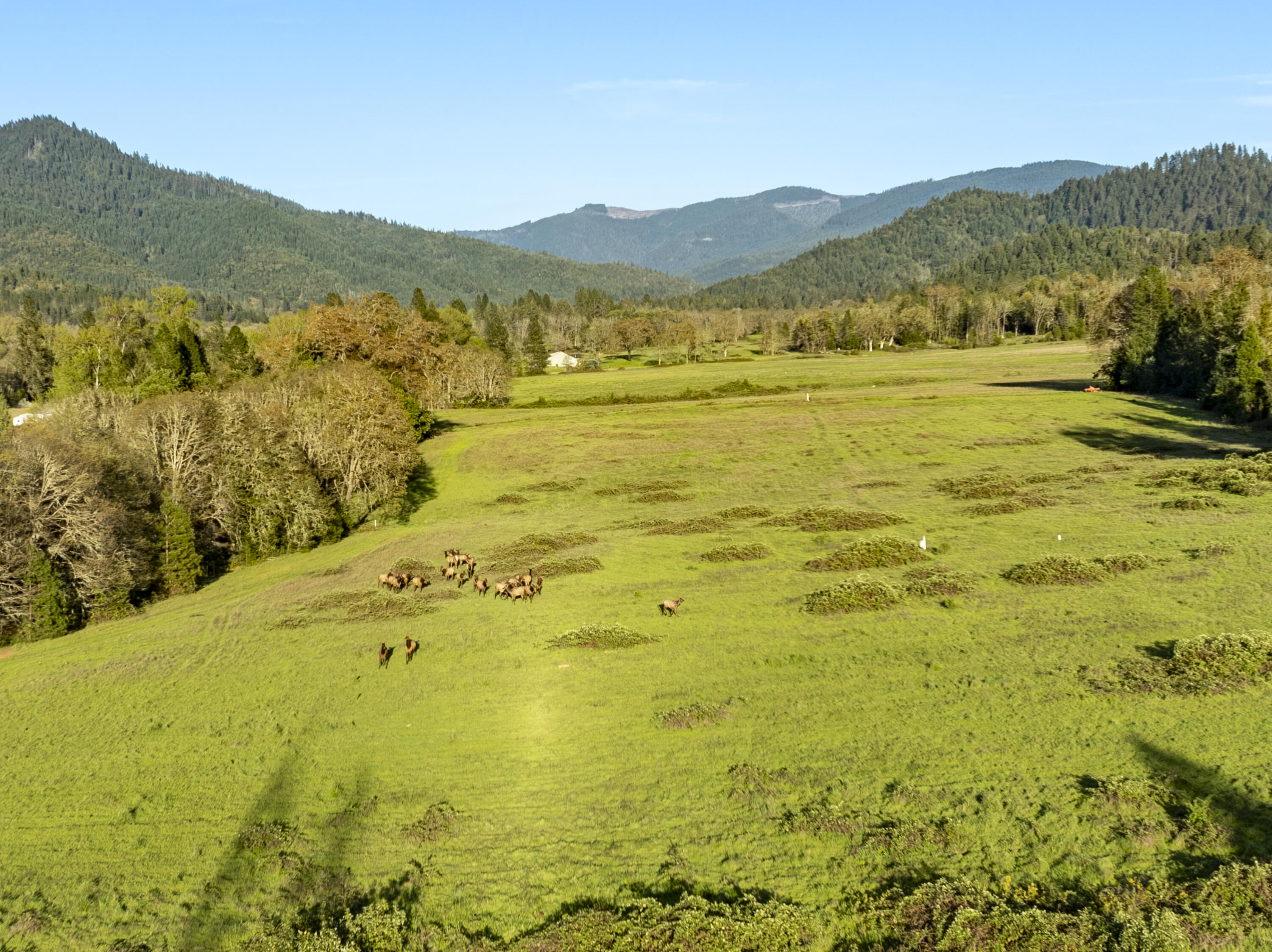 1775 Leland Road Wolf Creek, OR 97497 - Photo 38 of 49 Leland38