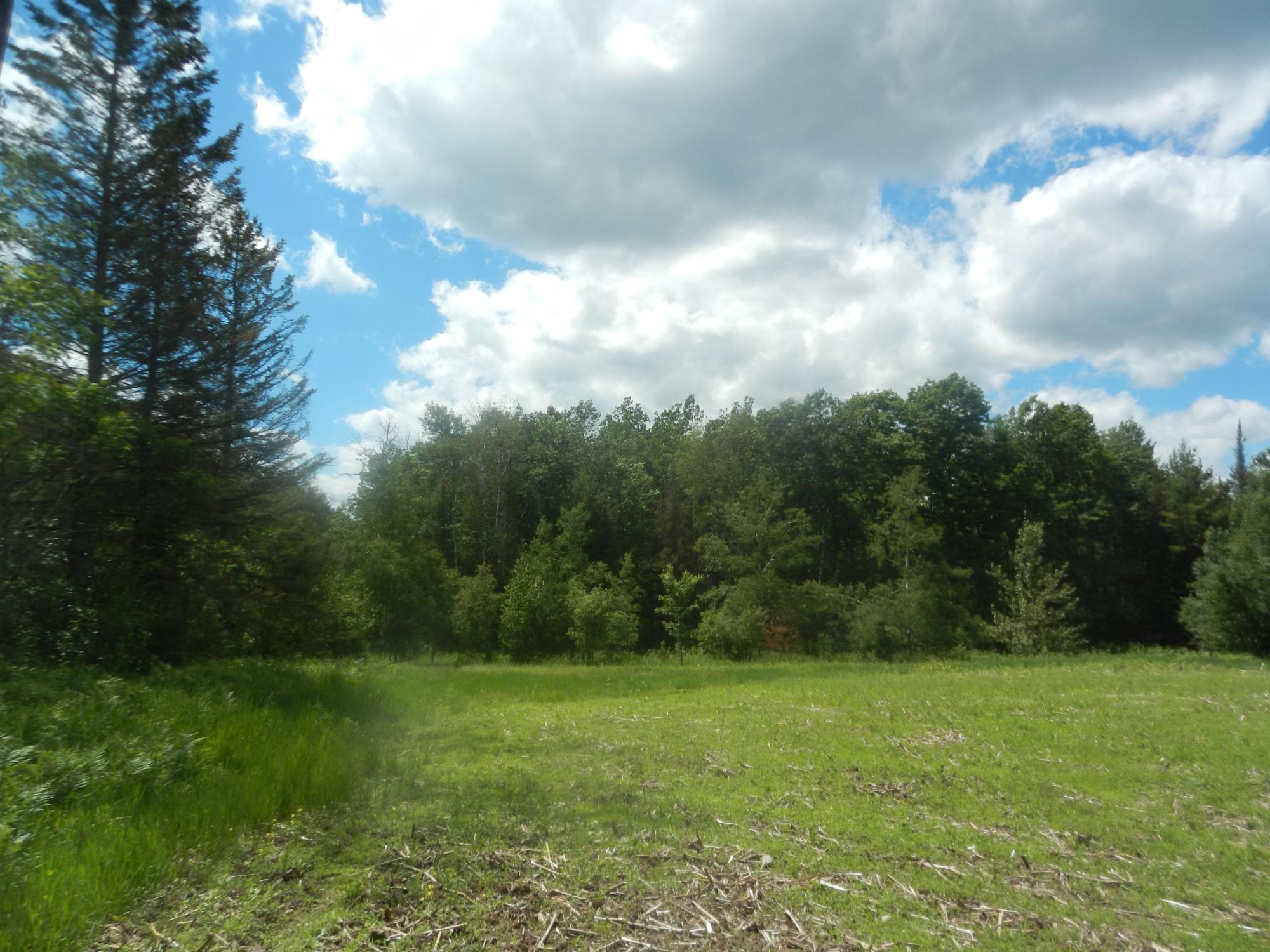 On Max Road Pelican Lake, WI 54463 - Photo 4 of 7 Gallery Image 4