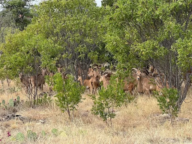 a view of street with houses