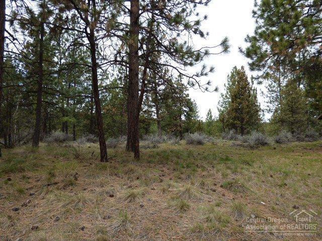 3202 McClellan Road Bend, OR 97702 - Photo 2 of 25 a view of a forest with trees in the background