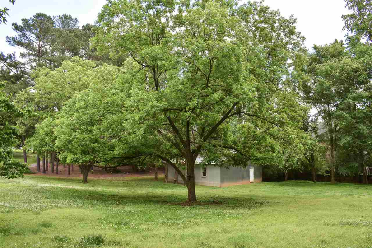 11704 Falls Of Neuse Road Raleigh, NC 27614 - Photo 4 of 30 Photo 4