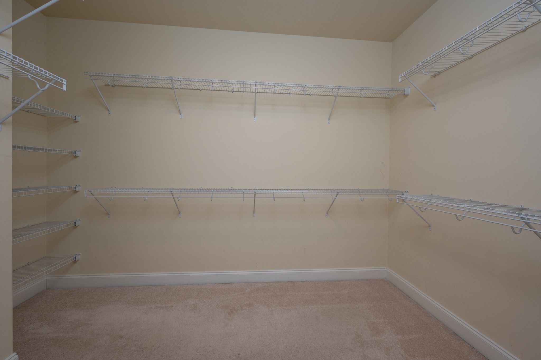 340 Wandering Circle Franklin, TN 37067 - Photo 30 of 51 a view of a room with racks on the wall