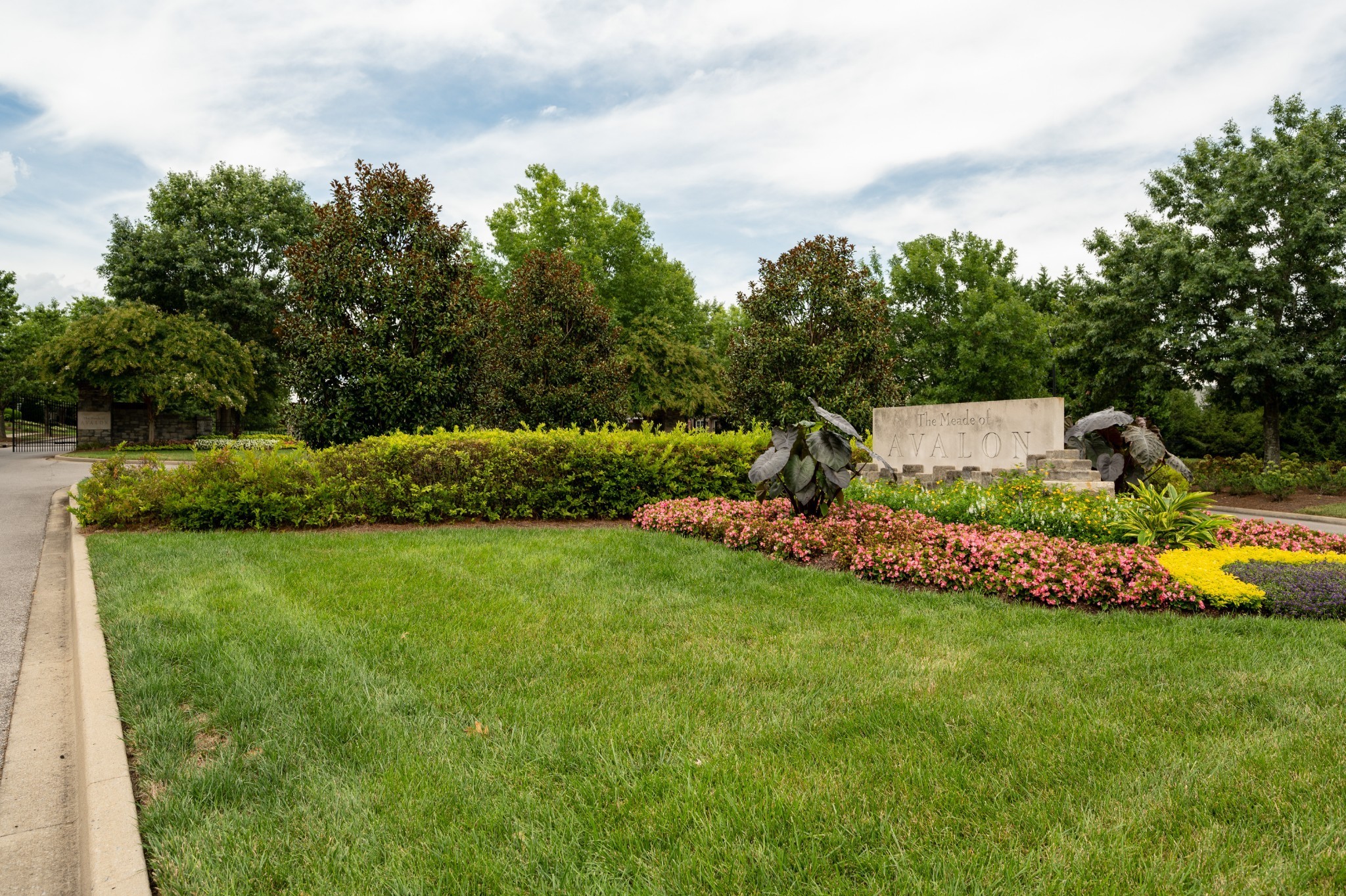 340 Wandering Circle Franklin, TN 37067 - Photo 3 of 51 a view of a garden with an outdoor space