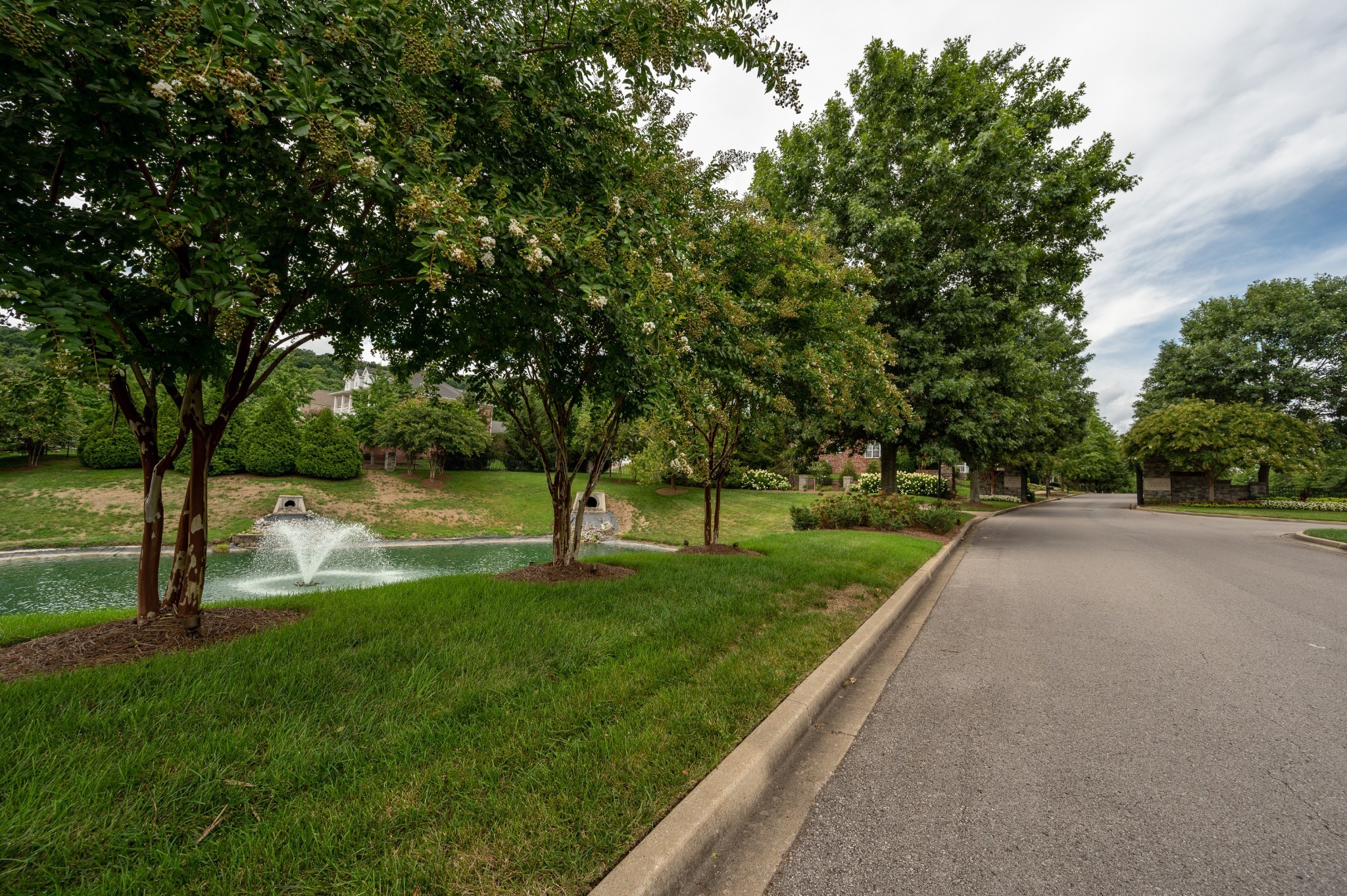 340 Wandering Circle Franklin, TN 37067 - Photo 4 of 51 a view of a park with large trees