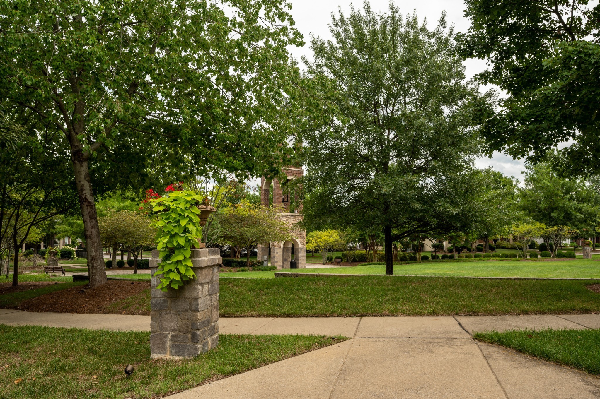 340 Wandering Circle Franklin, TN 37067 - Photo 7 of 51 a park view with large trees