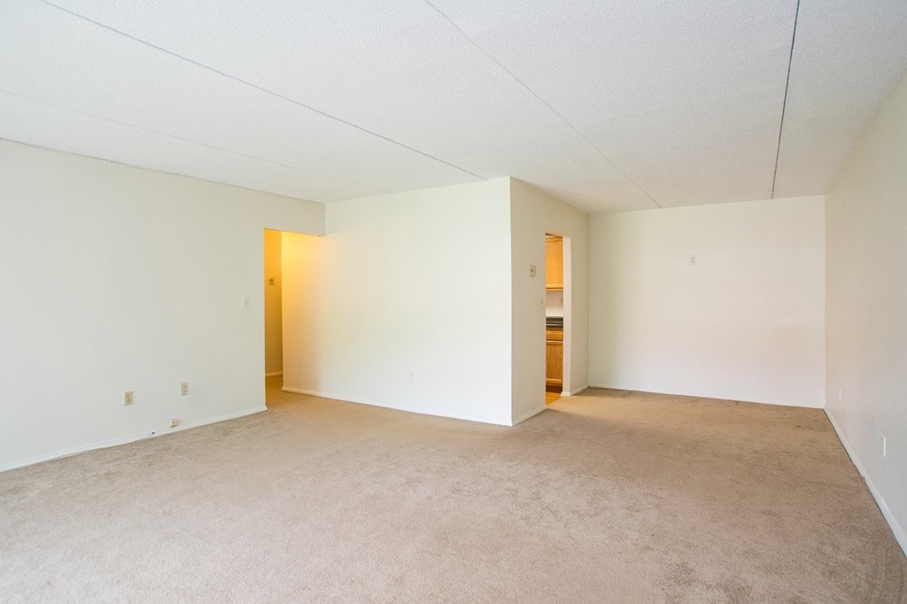 50-56 Broadlawn Park, Unit 221 Boston, MA 02467 - Photo 4 of 7