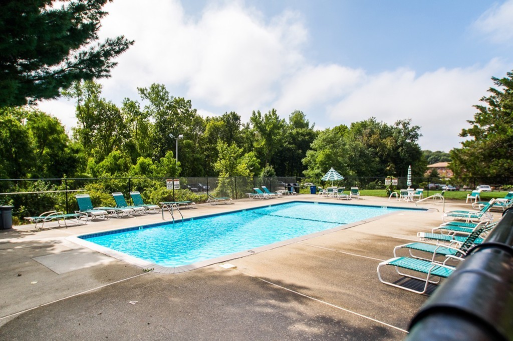 50-56 Broadlawn Park, Unit 221 Boston, MA 02467 - Photo 7 of 7