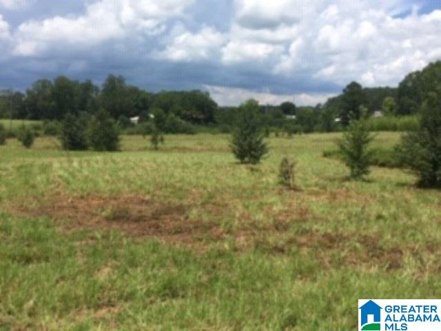0 Hackney Street, Unit 8 29 ACRES Lincoln, AL 35096 - Photo 10 of 18