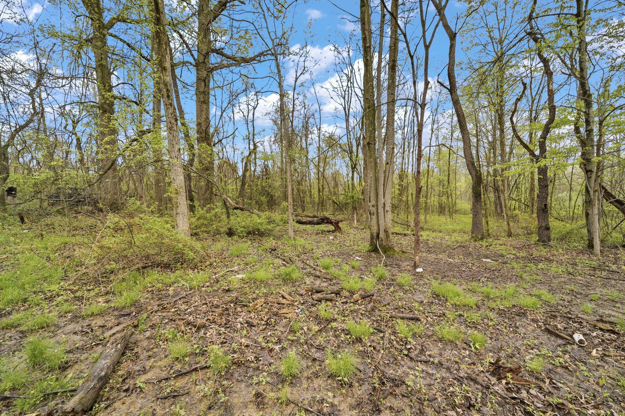 0 Lantz Road Mansfield, OH 44906 - Photo 3 of 28 AF1A3429