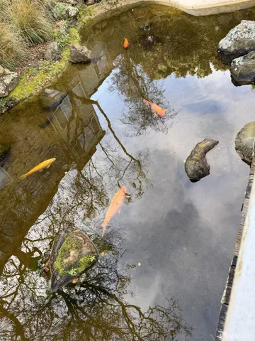 a view of beach and small yard
