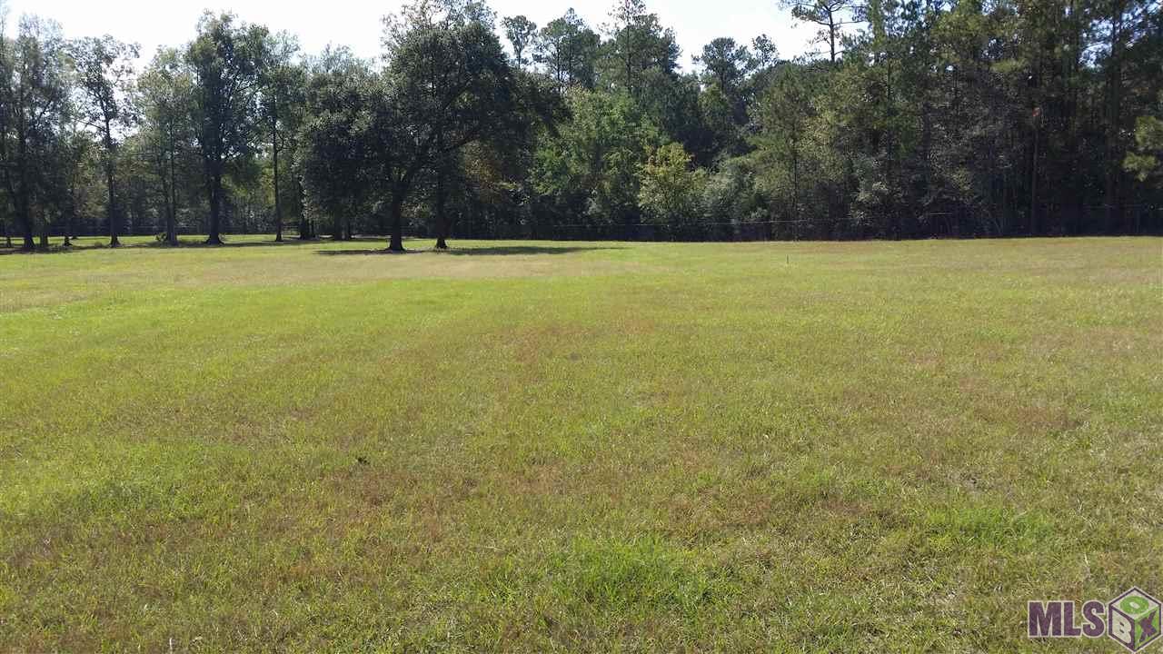 A Carter Cemetery Road Springfield, LA 70462 - Photo 2 of 5