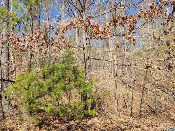 $160,000 | 0 Merry Oaks Lane, Palmyra, VA 22963