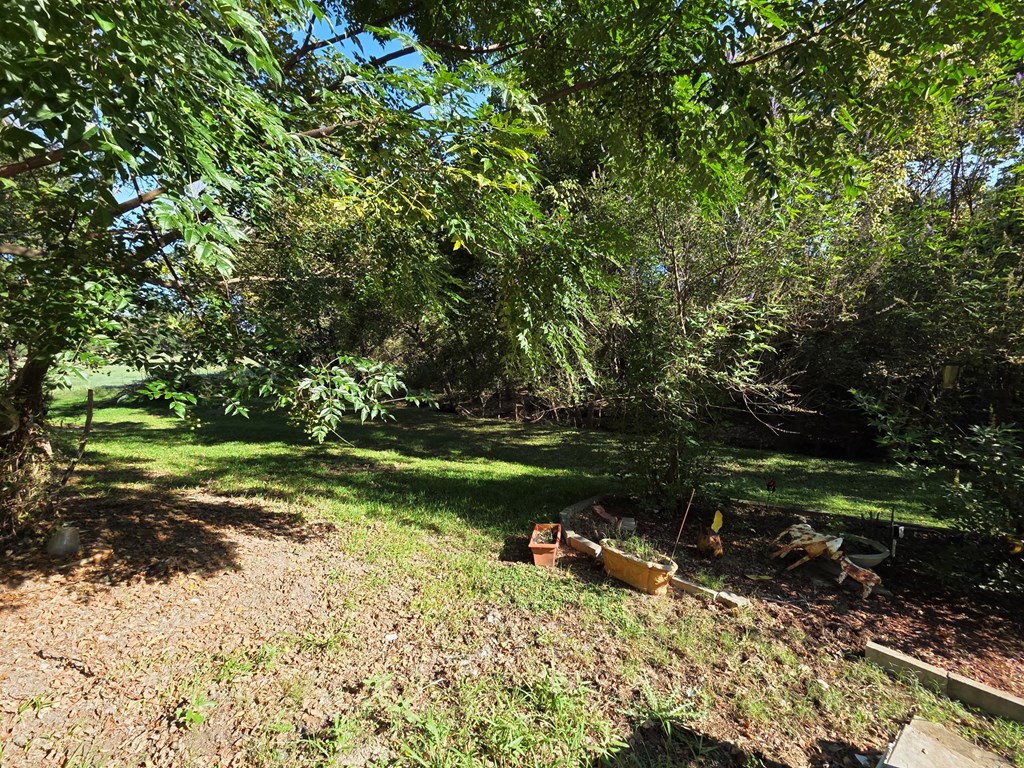1723 Scott Road Kerrville, TX 78028 - Photo 22 of 25