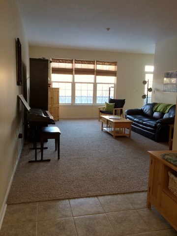 438 North River Road Naperville, IL 60540 - Photo 3 of 24 a living room with furniture and a window