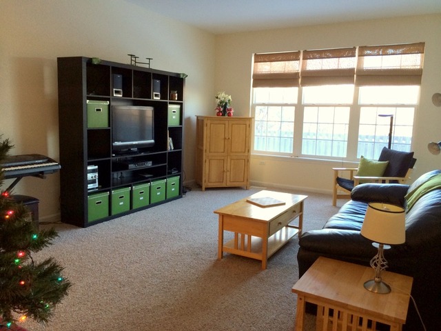 438 North River Road Naperville, IL 60540 - Photo 4 of 24 a living room with furniture and a flat screen tv
