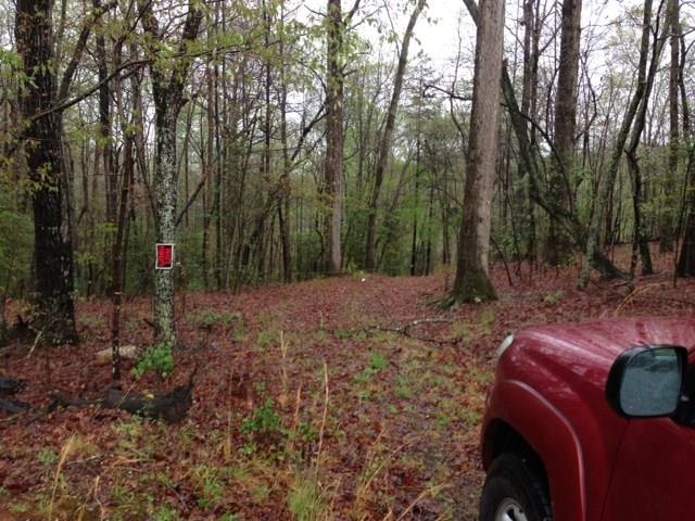 0 Mollys Backbone Road Catawba, NC 28609 - Photo 2 of 3