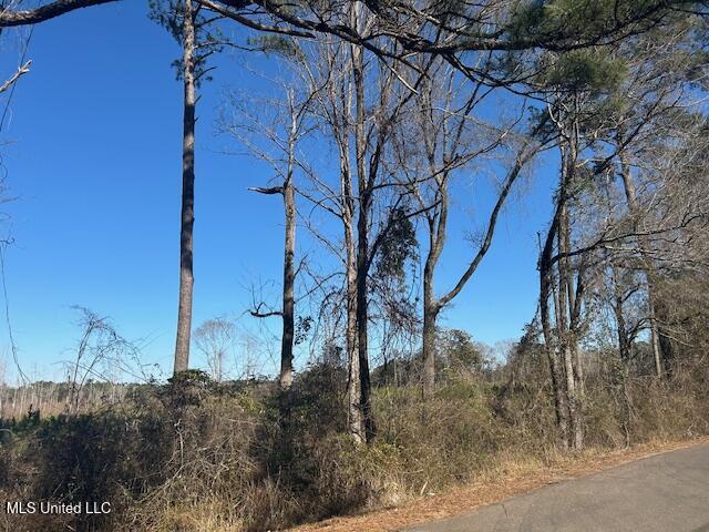 Jones Road Summit, MS 39666 - Photo 17 of 17 IMG_2859