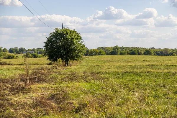 $225,000 | 1 East 343rd Street, Archie, MO 64725