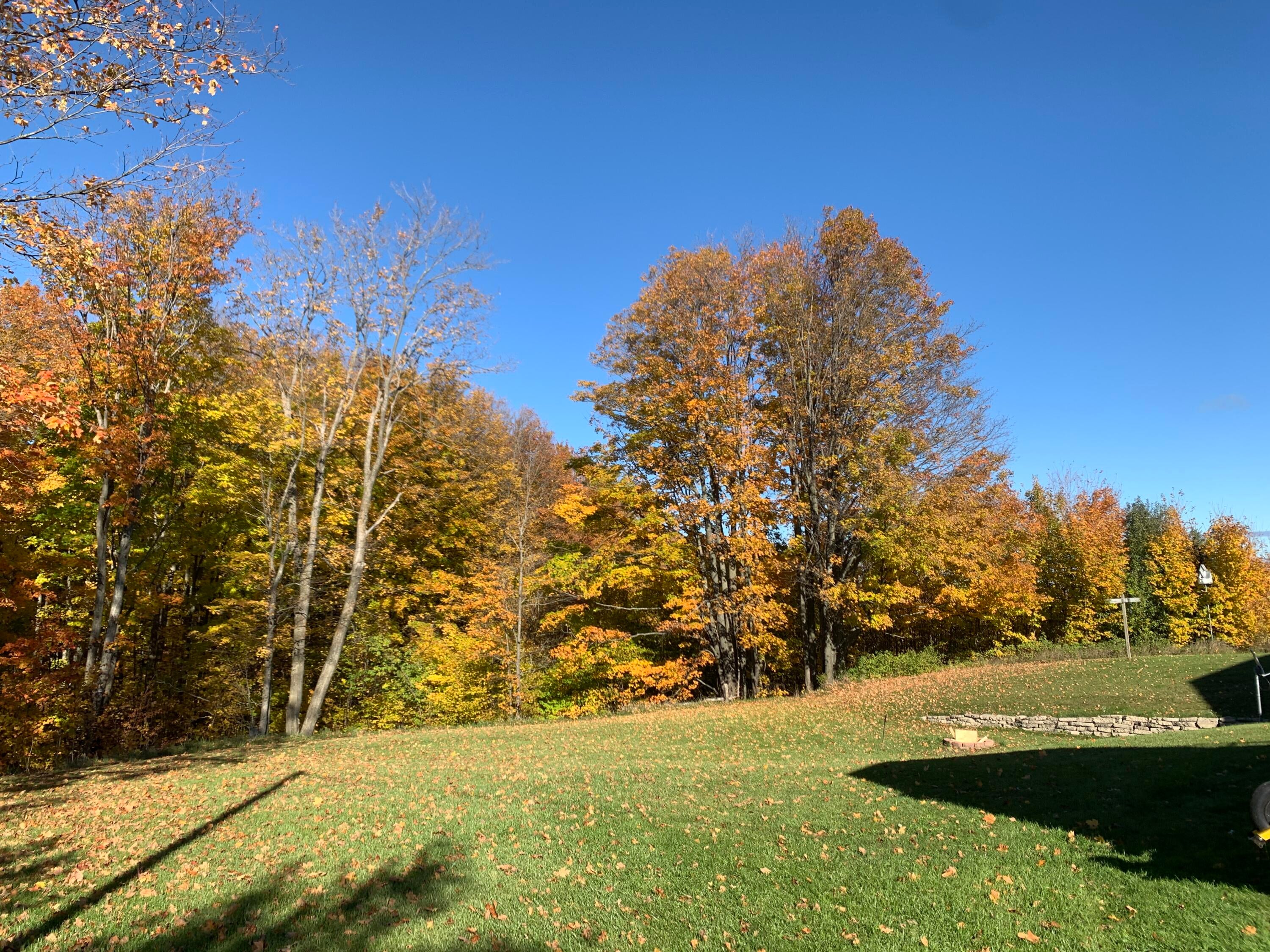 838 West Winters Road Gaylord, MI 49735 - Photo 46 of 52 Gallery Image 46
