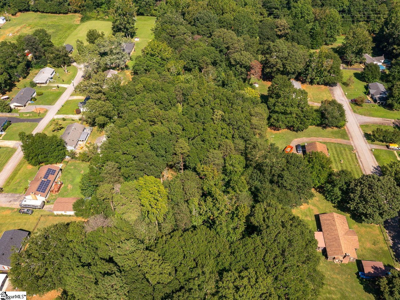 171 Candlenut Lane Boiling Springs, SC 29316 - Photo 27 of 29 Gallery Image 27
