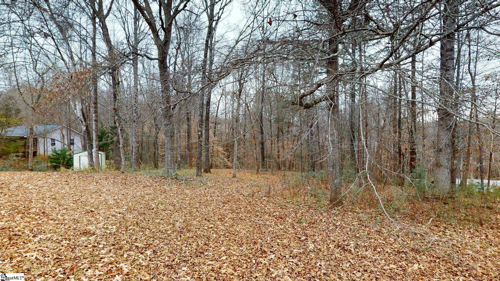 437 Burns Mill Road West Union, SC 29696 - Photo 31 of 42