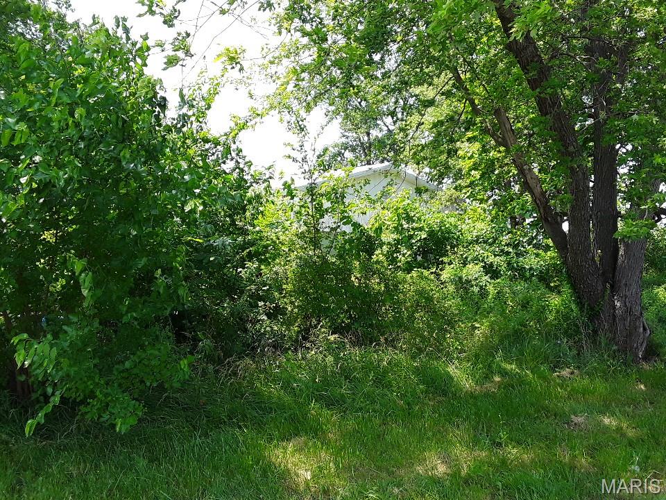 1975 Shepard Opdyke, IL 62872 - Photo 32 of 33