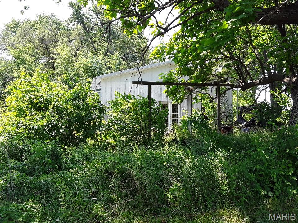 1975 Shepard Opdyke, IL 62872 - Photo 33 of 33