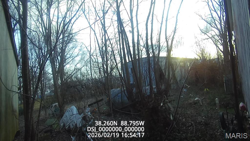 1975 Shepard Opdyke, IL 62872 - Photo 9 of 33